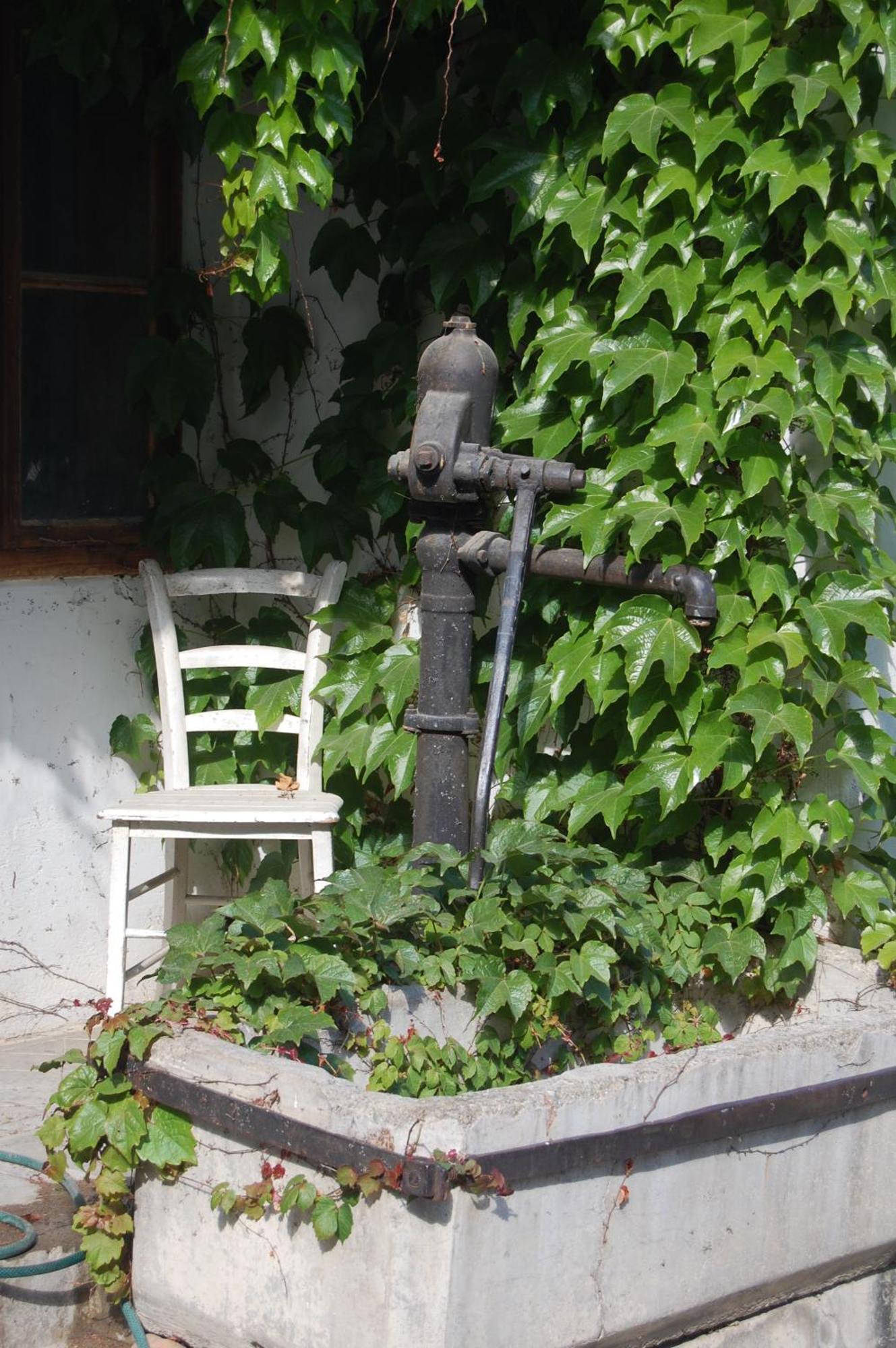 Hofgassl Zentgraf Bed & Breakfast เมอบิชอัมซี ภายนอก รูปภาพ