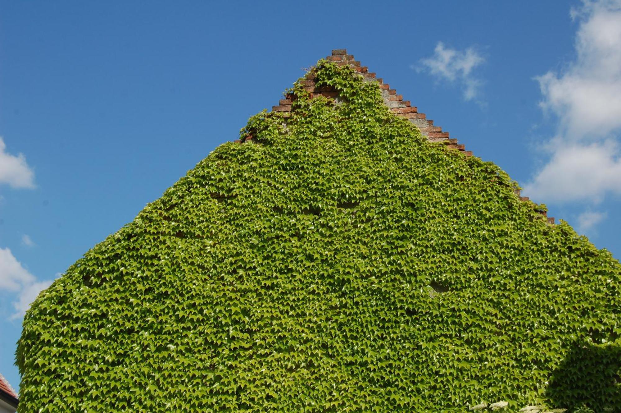 Hofgassl Zentgraf Bed & Breakfast เมอบิชอัมซี ภายนอก รูปภาพ